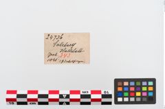 Etiketten zu Bronzegürtelblech (NHMW-PRAE-024736)